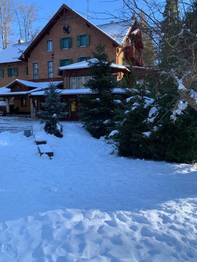 Sebesviz Panzio Bed & Breakfast Repashuta Exterior photo