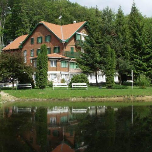 Sebesviz Panzio Bed & Breakfast Repashuta Exterior photo