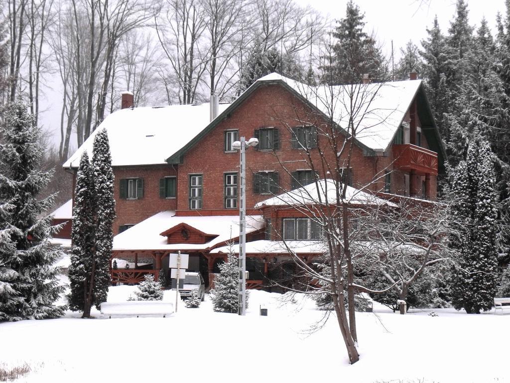 Sebesviz Panzio Bed & Breakfast Repashuta Exterior photo